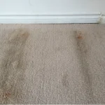 Hank: How Often Do I Have To Replace Carpet In My Rental?